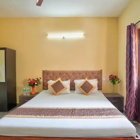 Golden Studio Apartment Goa-3