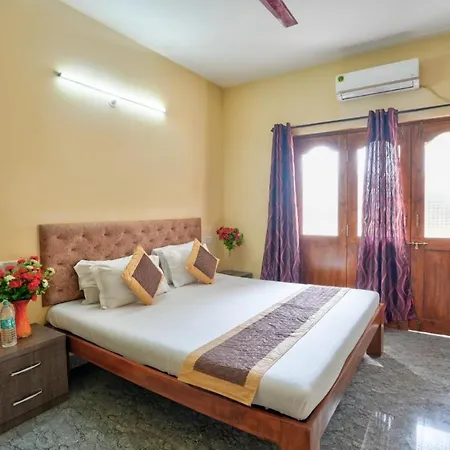 Golden Studio Apartment Goa-2