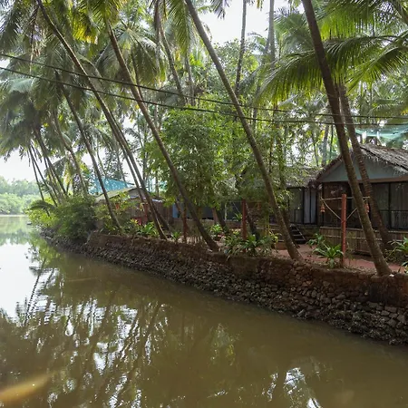 Palm Trees Ayurvedic Heritage-2