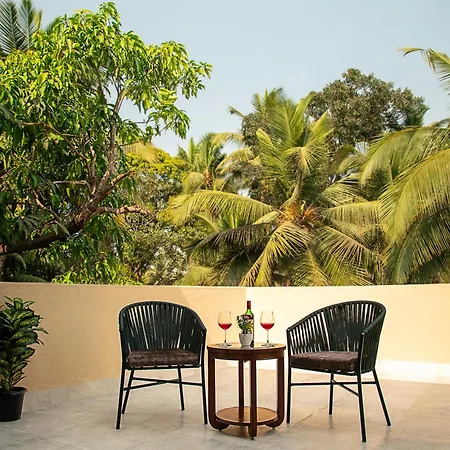 Treehouse Stamp, Goa-2
