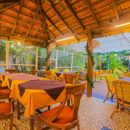 Bougainvillea Guest House-3