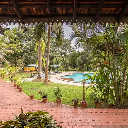 Granpa'S Inn Hotel Bougainvillea-2