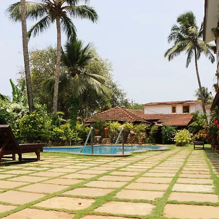 Kingstork Beach Resort-3
