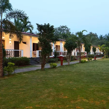 Wild Berry Resort Agonda-3