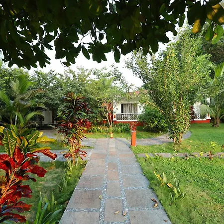 Wild Berry Resort Agonda-2
