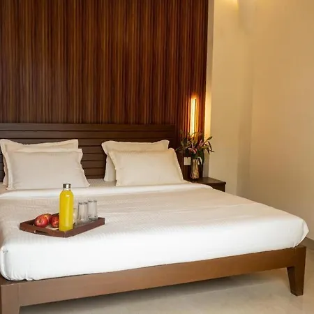 Palm Air By Goa Signature Stays-3