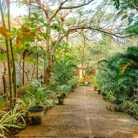 The Bay Agonda-2