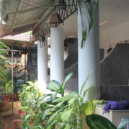Alba Rooms Palolem Rosebuds-2