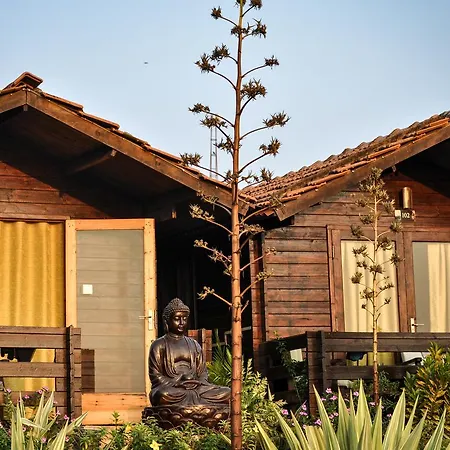 Lotus Sutra Beachfront Resort-2