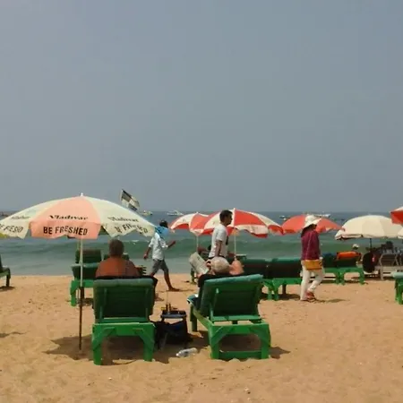 Beautiful Spacious Studio Apt In Candolim With Wifi-2