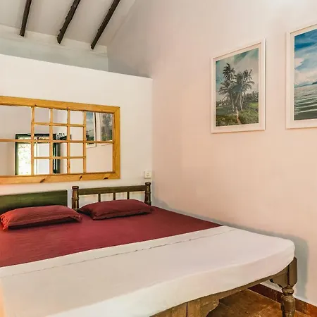 Rodrigues Guest House-2