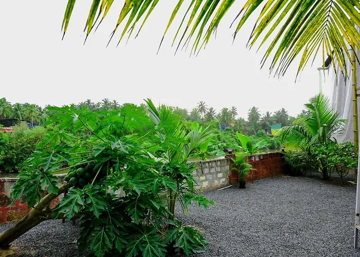 Pet friendly La Zarya Beach Resort Arambol