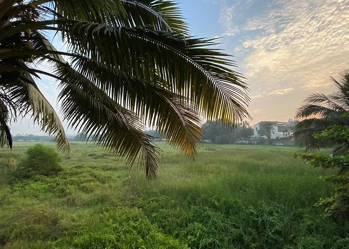 Green Field View Candolim