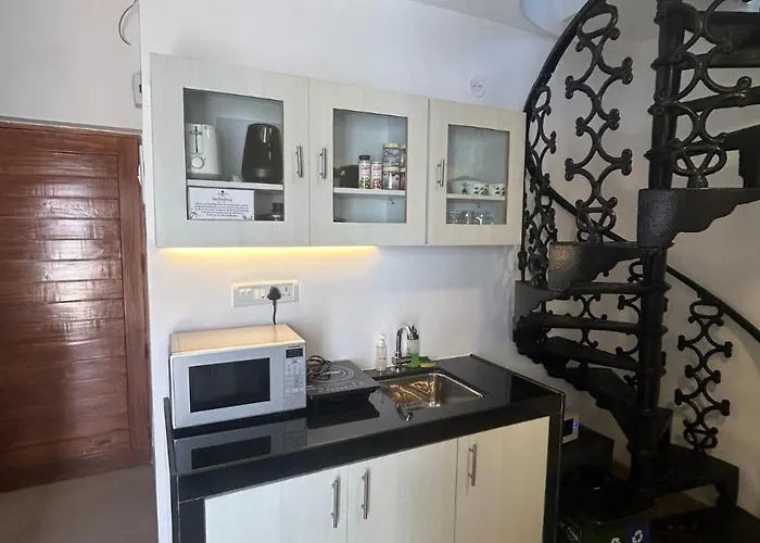 Pet friendly Jungle Hut-Annabelle'S Beach Apartments At Bernard Simao,Calangute,Goa Candolim