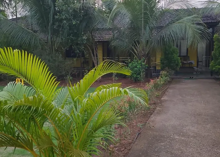 Kokomo Arambol