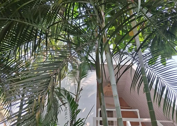 Sea Shades Cottages With Private Jacuzzi Palolem