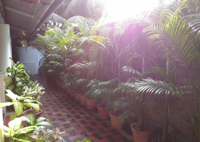 Alba Rooms Palolem Rosebuds